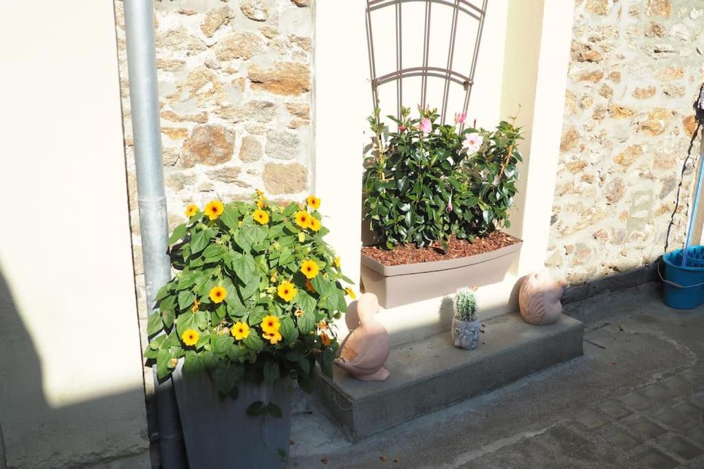 Appartement Duplex Et Terrasse A St Servan-St Malo Saint-Malo Exterior photo